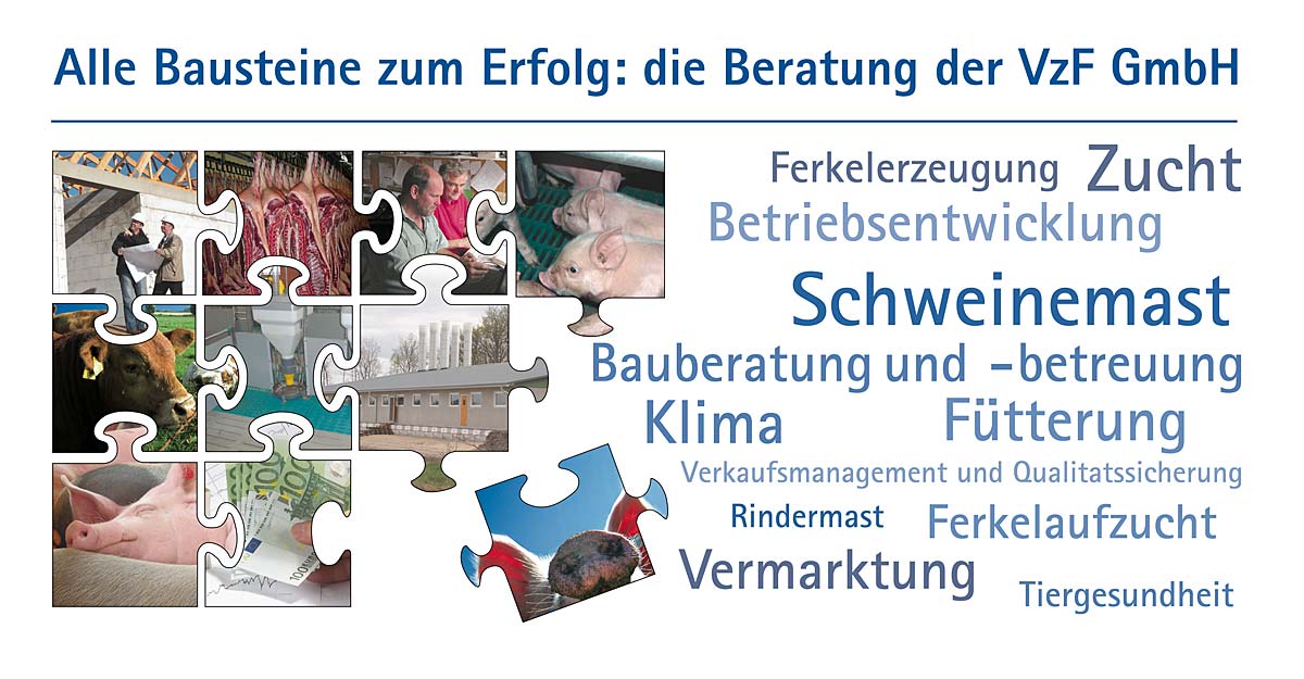 Anzeige zur VzF Beratung